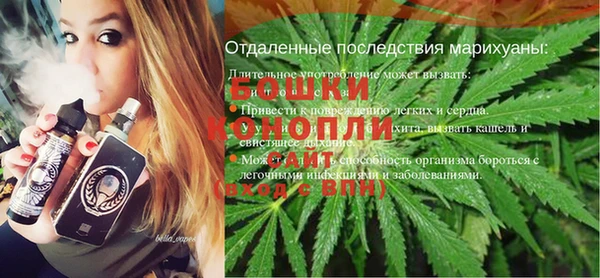 шишки Козельск