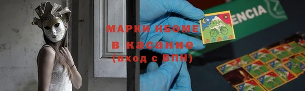 шишки Козельск