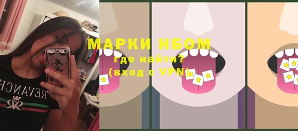 шишки Козельск