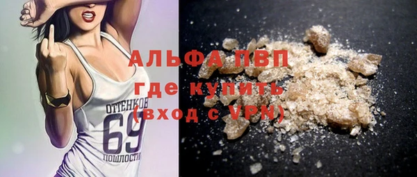 шишки Козельск