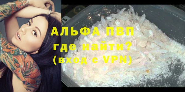 СК Козловка