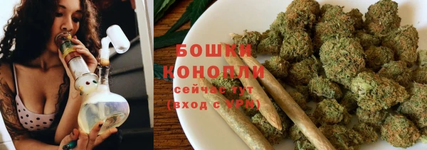СК Козловка