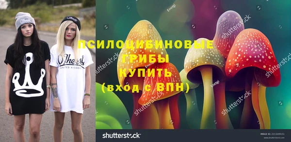 шишки Козельск